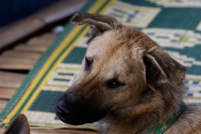 Famille et amis NOV12-046